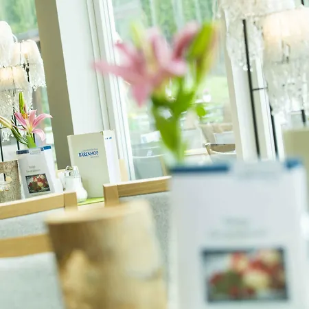 호텔 Gesundheitszentrum Baerenhof 3*