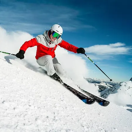 Hotel Gesundheitszentrum Baerenhof 3*