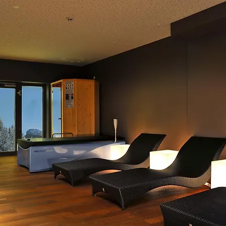 호텔 Gesundheitszentrum Baerenhof 3*