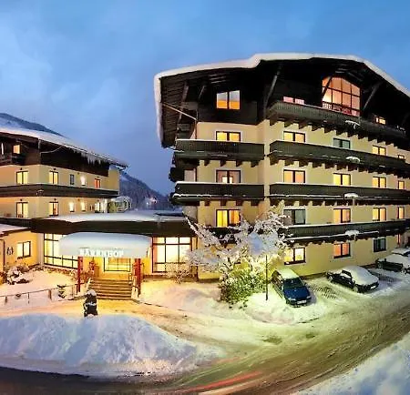 Gesundheitszentrum Baerenhof Hotel