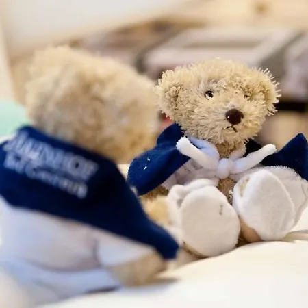 Gesundheitszentrum Baerenhof 호텔 바트 가슈타인