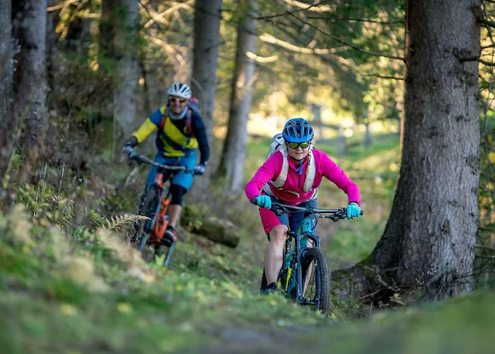 ホテル Gesundheitszentrum Baerenhof 3*