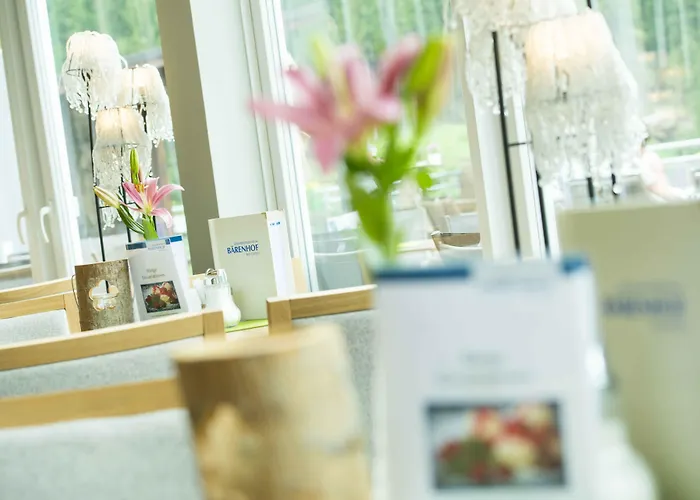 ホテル Gesundheitszentrum Baerenhof 3*