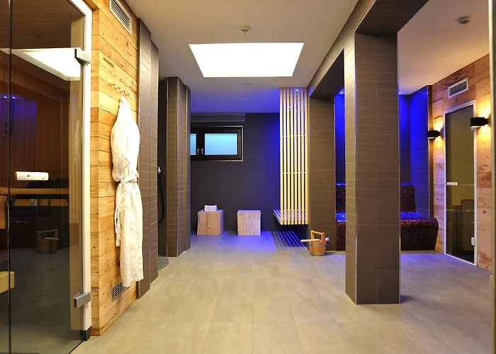 ホテル Gesundheitszentrum Baerenhof 3*