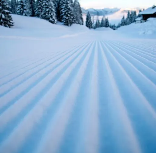 Gesundheitszentrum Baerenhof バードガシュタイン