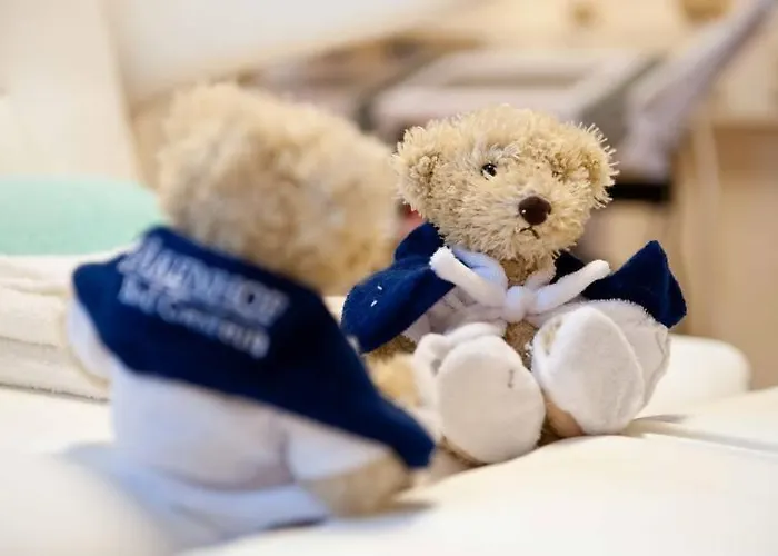 Gesundheitszentrum Baerenhof ホテル バードガシュタイン